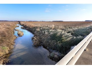 Property photo 37 - MAJOR, HIGH QUALITY LAND AUCTION - 346+/- ACRES OFFERED IN 8 TRACTS IN JACKSON COUNTY, INDIANA